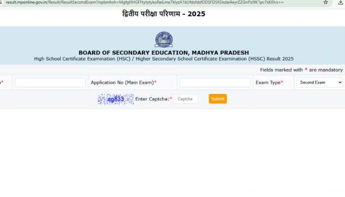 MP Board Class 10, 12 Supplementary Exam Result 2025 OUT At mpbse.nic.in- Check Direct Link Here