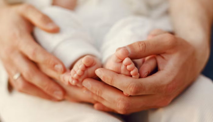 All You Need To Know About IVF: Procedure And How It Works All You Need To Know About IVF: Procedure And How It Works