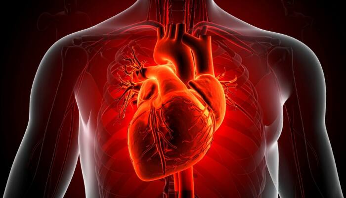Popular Diabetes Drug Glipizide Linked To Higher Heart Risk, Study Warns