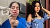Uorfi Javed Dissolves Her Lip Fillers: Expert Reveals Shocking Truths! All You Need To Know
