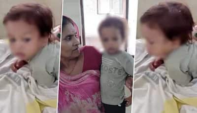 Bihar Toddler Bites Cobra To Death, Doctor Explains Why He Survived