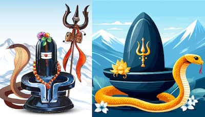 When Is Nag Panchami 2025? July 28 Or 29 - Check Correct Date, Shubh Muhurat, Puja Vidhi, Significance, Mantras, And More