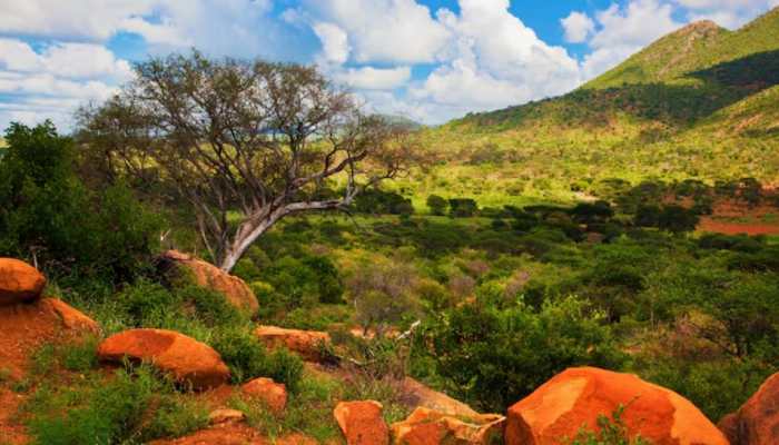 Meet World's Only Country With 13 Months A Year Calendar; It's 7 Years Behind The World - Located In... Meet World's Only Country With 13 Months A Year Calendar; It's 7 Years Behind The World - Located In...