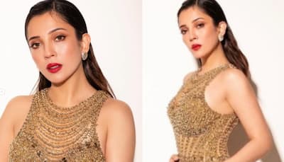 Barkha Singh's Dream Role Has Alia Bhatt Connection - Find Out What It Is
