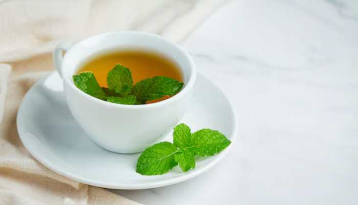 5 Ayurvedic Herbs That Fight Monsoon Infections Naturally