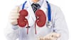 9 Natural Foods That Cleanse Your Kidneys And Improve Renal Function Safely And Effectively