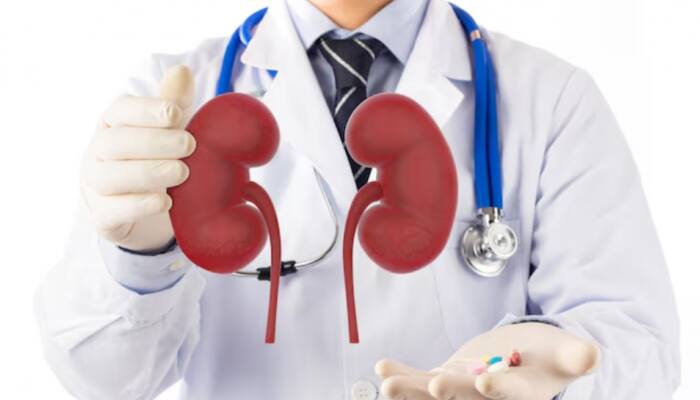 9 Natural Foods That Cleanse Your Kidneys And Improve Renal Function Safely And Effectively