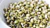 7 Best Ways To Eat Soaked Sprouts For A Healthy Gut: Recipes, Benefits, And Safety Tips You Need To Know