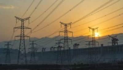 India’s Power Demand To Rise 4% In 2025, Renewable Energy Output Surges: IEA