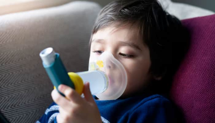New Study Reveals Why Some Children Suffer Asthma Flare-Ups Despite Treatment