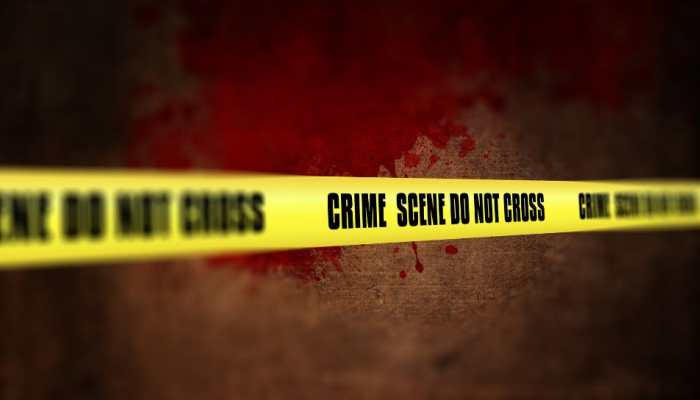 Delhi Vengeance: Minors Kill Man To Avenge Trans Friend's Murder In Uttam Nagar