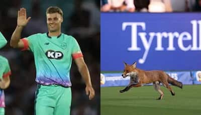 Fox Stops Play at Lord’s! Oval Invincibles Beat London Spirit in The Hundred 2025 Opener