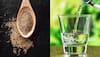 What Does Drinking Ajwain Water Do To Your Body: 5 Reasons To Start Now 
