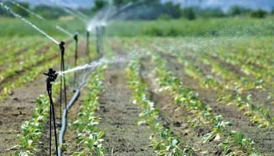 Rs 6,411 Crore Disbursed For Food Processing Units Under PMKSY Scheme