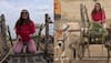 Chhoriyan Chali Gaon Episode Update: Divas Take On Bullock Cart Challenge — Who Will Take The Lead?