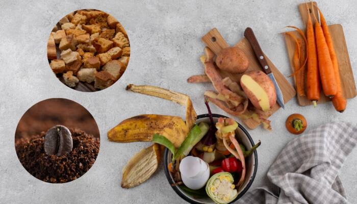 Food Scraps