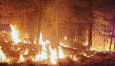 California Canyon Fire Triggers Evacuation Order, Red Cross Extends Helping Hand