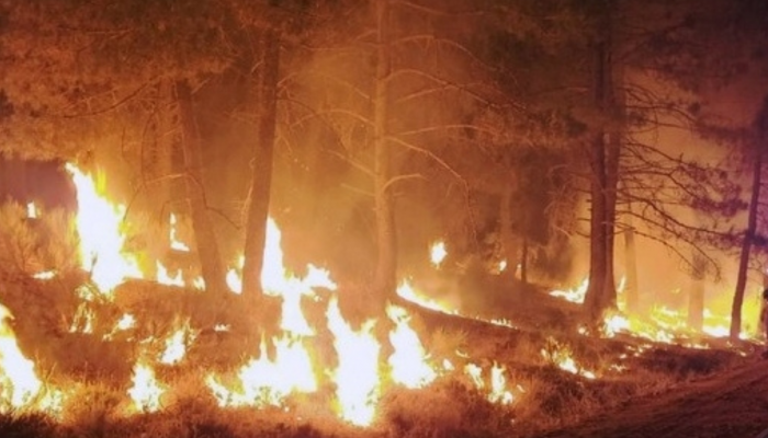 California Canyon Fire Triggers Evacuation Order, Red Cross Extends Helping Hand California Canyon Fire Triggers Evacuation Order, Red Cross Extends Helping Hand