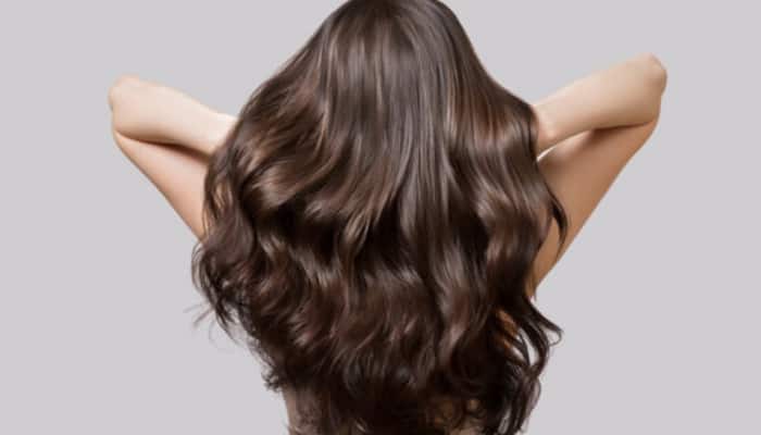 What Is Apricot Oil? Discover Its Benefits And How It Can Naturally Transform Your Hair’s Strength And Shine