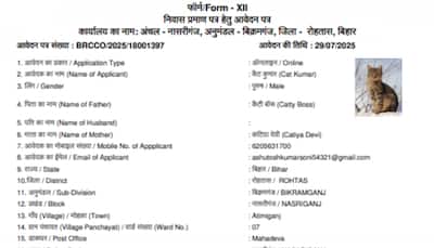 'Cat Kumar' Applies For Residential Certificate In Bihar; Document Goes Viral