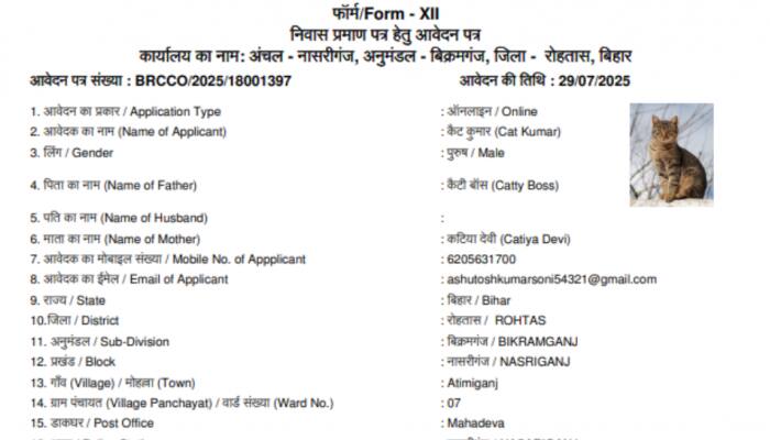 'Cat Kumar' Applies For Residential Certificate In Bihar; Document Goes Viral