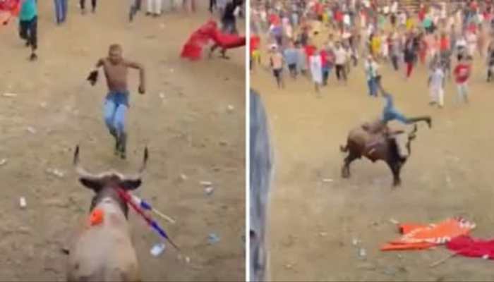 Caught On Camera: Bullfighter Dies After Goring, Reignites Bullfighting Debate In Colombia | VIDEO