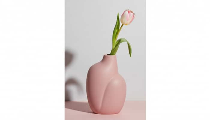 Must-Have Amazon Designer Vases Buying Guide