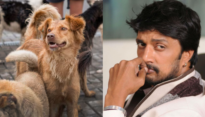 Kichcha Sudeepa Voices Concern Over Supreme Court’s Stray Dog Removal Order In Delhi-NCR, Calls For Adoption And Care Kichcha Sudeepa Voices Concern Over Supreme Court’s Stray Dog Removal Order In Delhi-NCR, Calls For Adoption And Care