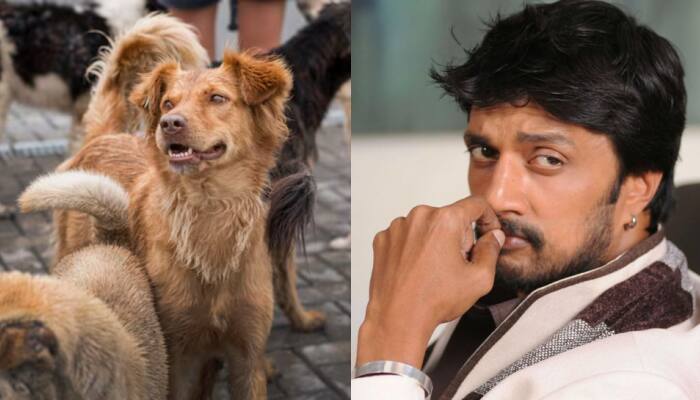 Kichcha Sudeepa Voices Concern Over Supreme Court’s Stray Dog Removal Order In Delhi-NCR, Calls For Adoption And Care