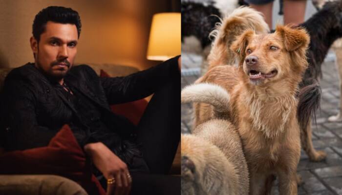 Randeep Hooda Welcomes SC’s Decision To Revisit Stray Dog Verdict, Urges 'Humane' And 'Practical' Solutions