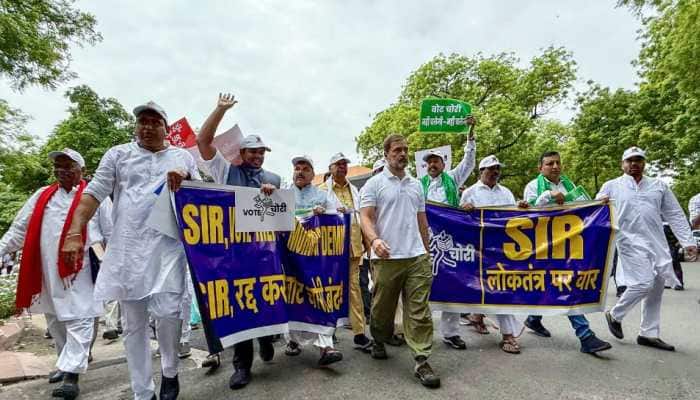 Rahul Gandhi's Yatra Is Nothing But 'Samvidhan Badnam Yatra': BJP Leader CR Kesavan