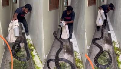 'Man Catches Giant King Cobra Using Just A Pipe': Video Goes Viral