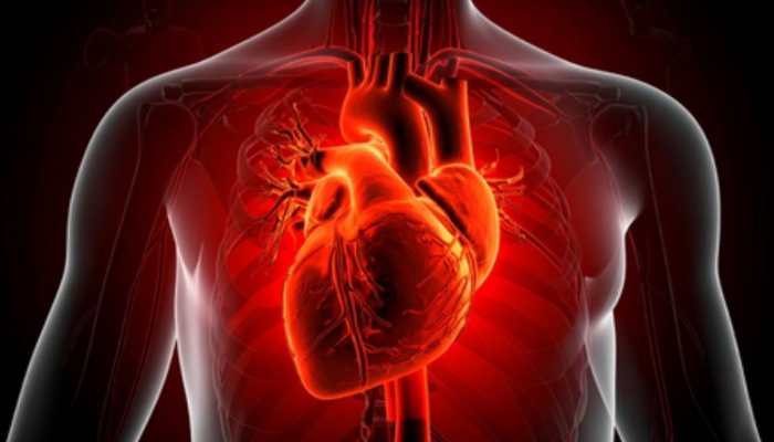 Covid An Accelerate Ageing In Blood Vessels By 5 Years In Women: Study