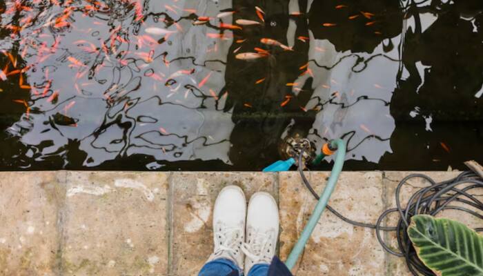 This Simple Rainwater Harvesting Trick Can Help You Save Thousands Of Litres During Monsoon