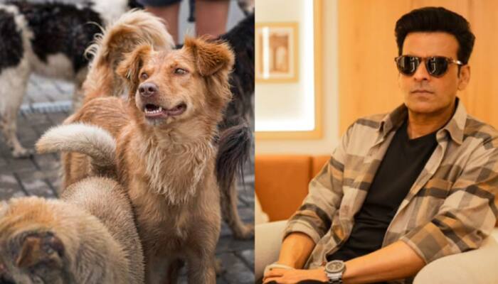 Manoj Bajpayee Joins Stray Dog Verdict Debate With Balanced Take, Urges Empathy For Both People And Animals