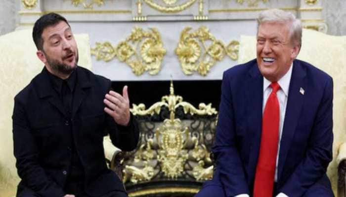 Zelenskyy Gets Style Compliment From Pro-Trump Reporter Who Once Mocked His Outfit