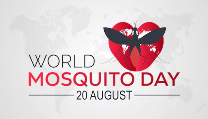 World Mosquito Day 2025: How To Protect Yourself From Mosquitoes, Prevent Deadly Diseases, Maintain Clean Surroundings, And Stay Healthy