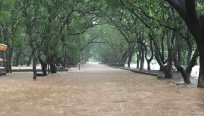 Mumbai's Mithi River Crosses Danger Mark; Beaches Closed Amid Heavy Rain, High Tide