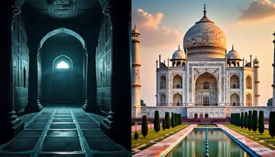 Taj Mahal's Secret Underground Chamber's Video 'LEAKED': Man Films Way