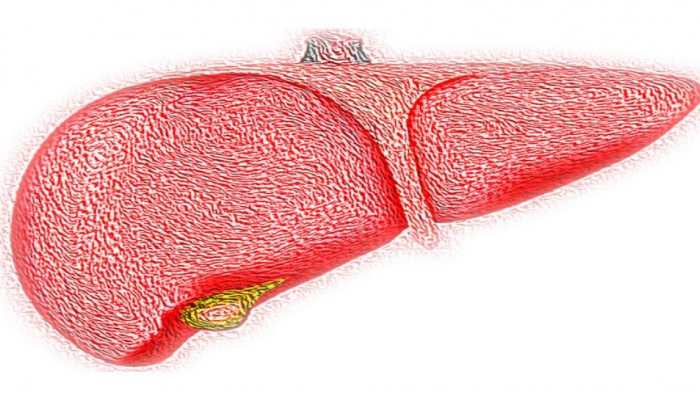 Heal Your Liver In 90 Days: 7 Simple Changes To Reverse Fatty Liver Naturally
