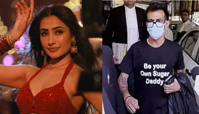 Dhanashree Verma's Jibe At Ex-Husband Yuzvendra Chahal's 'Sugar Daddy' T-Shirt Stunt 