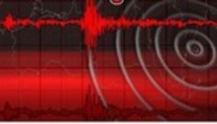 Earthquake Measuring 3.5 Felt In J&amp;K; No Damage Or Casualties Reported
