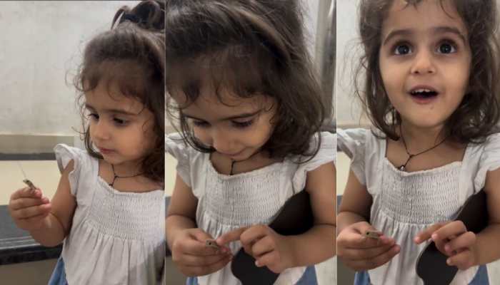 Viral Video: Toddler Holds Baby Lizard While Dad Cheers, Internet Divided