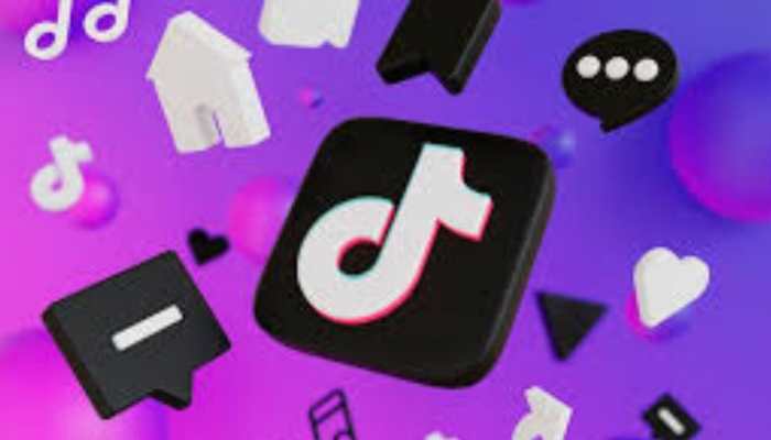 Government Denies Issuing Any Order To Unblock TikTok, Says Source