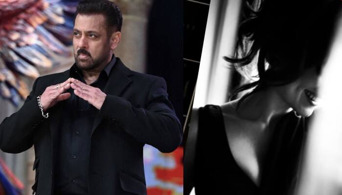From Bigg Boss Underdog To Bollywood Star: This Actor Went From Lowest Paid Contestant Of Her Season To Sharing Screen With Aamir Khan