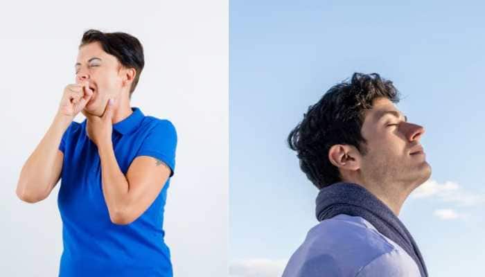 Mouth Breathing vs Nose Breathing: Why Your Oral Habits Affect Sleep, Skin, And Immunity