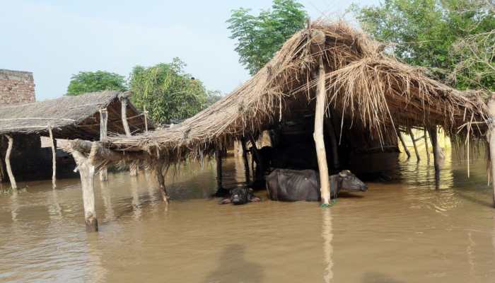Pakistan: Flood In Sutlej Forces Evacuation In Kasur; Villagers Distrust Relief Camps, Hesitant To Stay