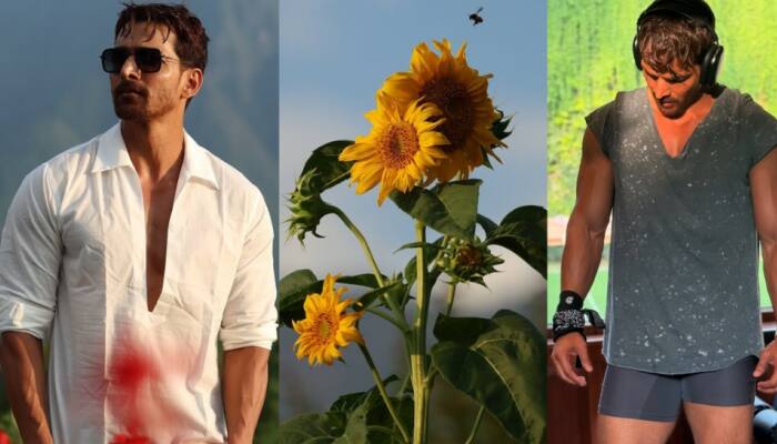 Silaa Movie Update: Harshvardhan Rane Shoots For THIRD Schedule In Kashmir, Shares Scenic Pictures