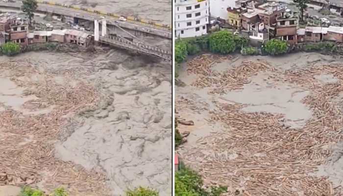 Himachal’s Yet Another ‘Pushpa’ Moment As Excessive Chopped Wooden Logs Spotted In Ravi River Flood Water