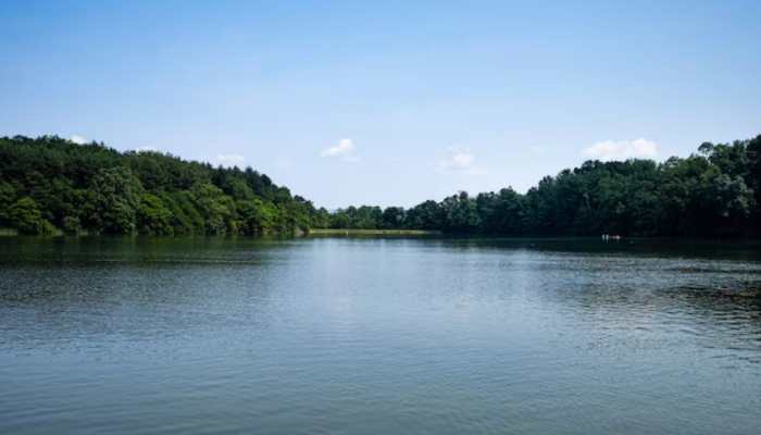 What Is Mahanadi River Dispute? Odisha, Chhattisgarh Step Up Dialogue Over Ten Years Old Rift
